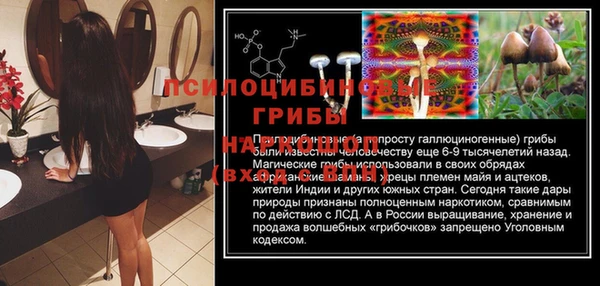 гидропоника Алексеевка