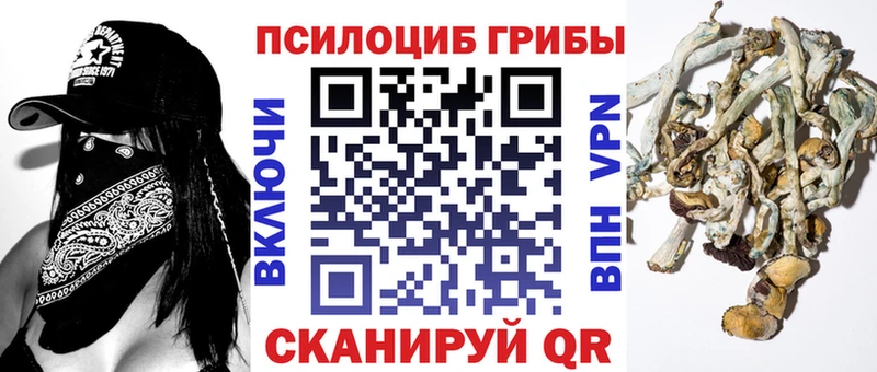 Галлюциногенные грибы Psilocybe  Красноуральск 